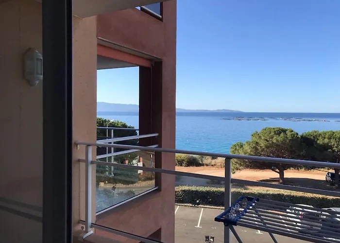 Bel App T2 En Bord De Vue Sanquinaires Piscine