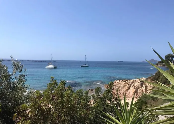 Bel App T2 En Bord De Vue Sanquinaires Piscine Appartement