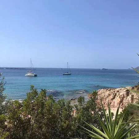 Bel App T2 En Bord De Vue Sanquinaires Piscine Apartment