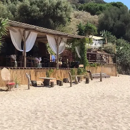 Appartamento Bel App T2 En Bord De Vue Sanquinaires Piscine