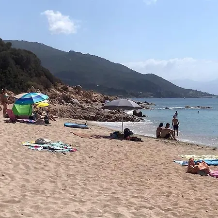 Bel App T2 En Bord De Vue Sanquinaires Piscine Apartment