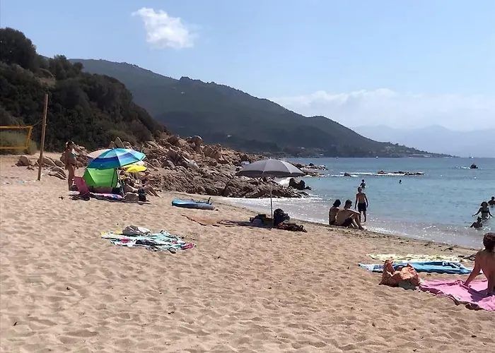 Bel App T2 En Bord De Vue Sanquinaires Piscine Apartment